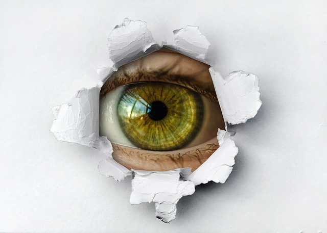sferica-palermo-privacy